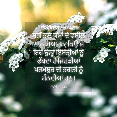 Picture 04 - 1 ਤਿਮੋਥਿਉਸ 2:10 PANIRV - ਸਗੋਂ ਭਲੇ ਕੰਮਾਂ ਦੇ - Bible Verse Picture