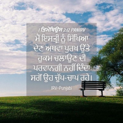 Picture 04 - 1 ਤਿਮੋਥਿਉਸ 2:12 PANIRV - ਮੈਂ ਇਸਤ੍ਰੀ ਨੂੰ - Bible Verse Picture