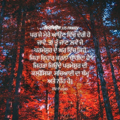 Picture 04 - 1 ਤਿਮੋਥਿਉਸ 3:15 PANIRV - ਪਰ ਜੇ ਮੇਰੇ ਆਉਣ ਵਿੱਚ - Bible Verse Picture