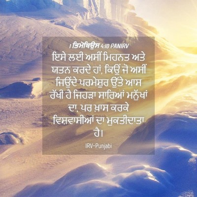 Picture 04 - 1 ਤਿਮੋਥਿਉਸ 4:10 PANIRV - ਇਸੇ ਲਈ ਅਸੀਂ ਮਿਹਨਤ - Bible Verse Picture