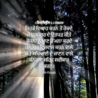 Picture 04 - 1 ਤਿਮੋਥਿਉਸ 4:3 PANIRV - ਜਿਹੜੇ ਵਿਆਹ ਕਰਨ ਤੋਂ - Bible Verse Picture
