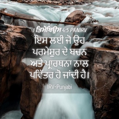 Picture 04 - 1 ਤਿਮੋਥਿਉਸ 4:5 PANIRV - ਇਸ ਲਈ ਜੋ ਉਹ - Bible Verse Picture