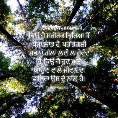 Picture 04 - 1 ਤਿਮੋਥਿਉਸ 4:8 PANIRV - ਕਿਉਂ ਜੋ ਸਰੀਰਕ - Bible Verse Picture