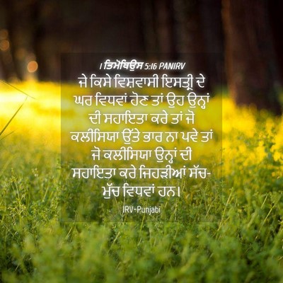 Picture 04 - 1 ਤਿਮੋਥਿਉਸ 5:16 PANIRV - ਜੇ ਕਿਸੇ ਵਿਸ਼ਵਾਸੀ - Bible Verse Picture