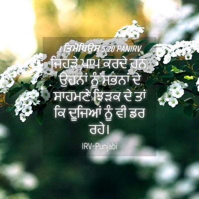 Picture 04 - 1 ਤਿਮੋਥਿਉਸ 5:20 PANIRV - ਜਿਹੜੇ ਪਾਪ ਕਰਦੇ ਹਨ, - Bible Verse Picture