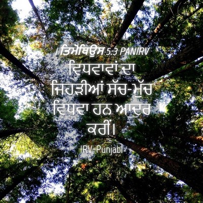 Picture 04 - 1 ਤਿਮੋਥਿਉਸ 5:3 PANIRV - ਵਿਧਵਾਵਾਂ ਦਾ - Bible Verse Picture