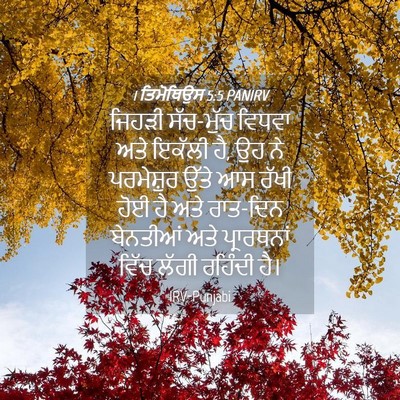 Picture 04 - 1 ਤਿਮੋਥਿਉਸ 5:5 PANIRV - ਜਿਹੜੀ ਸੱਚ-ਮੁੱਚ - Bible Verse Picture