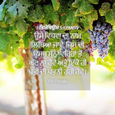 Picture 04 - 1 ਤਿਮੋਥਿਉਸ 5:9 PANIRV - ਉਸੇ ਵਿਧਵਾ ਦਾ ਨਾਮ - Bible Verse Picture