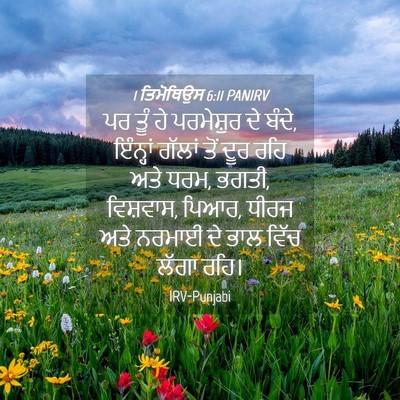 Picture 04 - 1 ਤਿਮੋਥਿਉਸ 6:11 PANIRV - ਪਰ ਤੂੰ ਹੇ ਪਰਮੇਸ਼ੁਰ - Bible Verse Picture