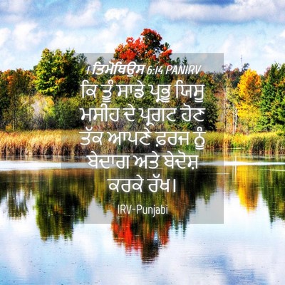 Picture 04 - 1 ਤਿਮੋਥਿਉਸ 6:14 PANIRV - ਕਿ ਤੂੰ ਸਾਡੇ ਪ੍ਰਭੂ - Bible Verse Picture