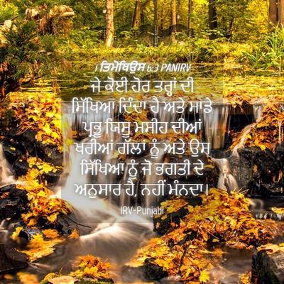 Picture 04 - 1 ਤਿਮੋਥਿਉਸ 6:3 PANIRV - ਜੇ ਕੋਈ ਹੋਰ ਤਰ੍ਹਾਂ - Bible Verse Picture