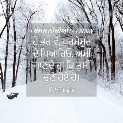 Picture 04 - 1 ਥੱਸਲੁਨੀਕੀਆਂ 1:4 PANIRV - ਹੇ ਭਰਾਵੋ, ਪਰਮੇਸ਼ੁਰ - Bible Verse Picture