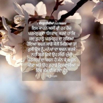 Picture 04 - 1 ਥੱਸਲੁਨੀਕੀਆਂ 2:13 PANIRV - ਇਸ ਕਾਰਨ ਅਸੀਂ ਵੀ ਹਰ - Bible Verse Picture