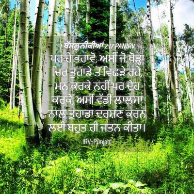 Picture 04 - 1 ਥੱਸਲੁਨੀਕੀਆਂ 2:17 PANIRV - ਪਰ ਹੇ ਭਰਾਵੋ, ਅਸੀਂ - Bible Verse Picture