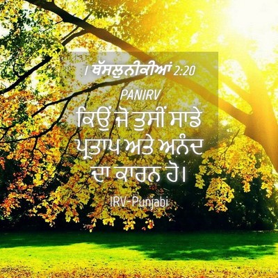 Picture 04 - 1 ਥੱਸਲੁਨੀਕੀਆਂ 2:20 PANIRV - ਕਿਉਂ ਜੋ ਤੁਸੀਂ ਸਾਡੇ - Bible Verse Picture