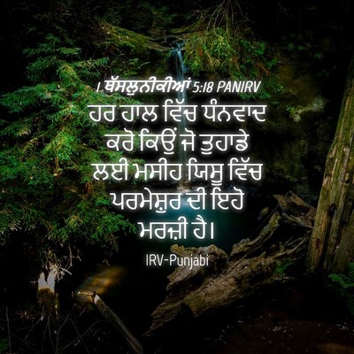 Picture 04 - 1 ਥੱਸਲੁਨੀਕੀਆਂ 5:18 PANIRV - ਹਰ ਹਾਲ ਵਿੱਚ ਧੰਨਵਾਦ - Bible Verse Picture