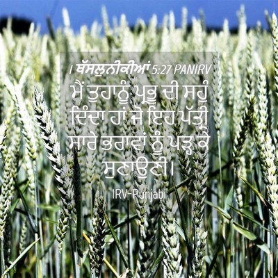 Picture 04 - 1 ਥੱਸਲੁਨੀਕੀਆਂ 5:27 PANIRV - ਮੈਂ ਤੁਹਾਨੂੰ ਪ੍ਰਭੂ - Bible Verse Picture