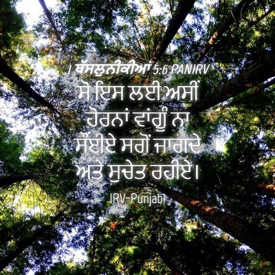 Picture 04 - 1 ਥੱਸਲੁਨੀਕੀਆਂ 5:6 PANIRV - ਸੋ ਇਸ ਲਈ ਅਸੀਂ - Bible Verse Picture