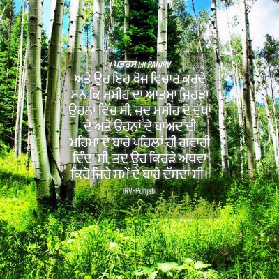 Picture 04 - 1 ਪਤਰਸ 1:11 PANIRV - ਅਤੇ ਉਹ ਇਹ ਖੋਜ ਵਿਚਾਰ - Bible Verse Picture