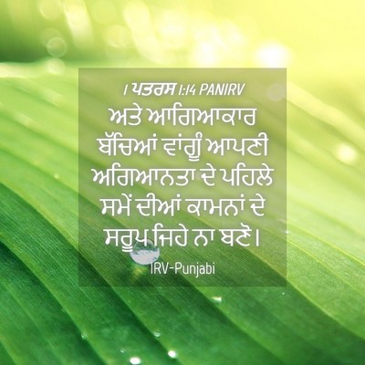 Picture 04 - 1 ਪਤਰਸ 1:14 PANIRV - ਅਤੇ ਆਗਿਆਕਾਰ - Bible Verse Picture