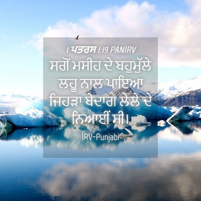 Picture 04 - 1 ਪਤਰਸ 1:19 PANIRV - ਸਗੋਂ ਮਸੀਹ ਦੇ - Bible Verse Picture