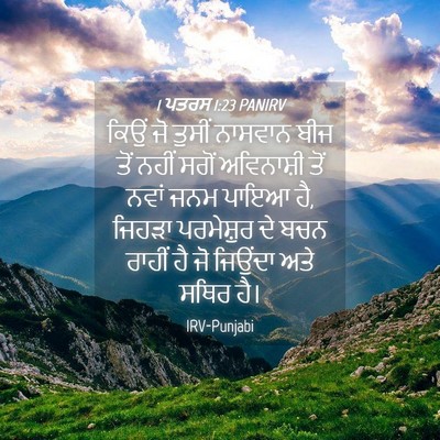 Picture 04 - 1 ਪਤਰਸ 1:23 PANIRV - ਕਿਉਂ ਜੋ ਤੁਸੀਂ - Bible Verse Picture