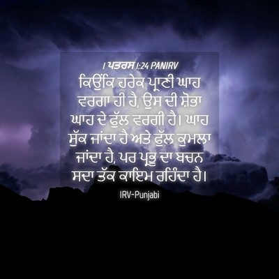 Picture 04 - 1 ਪਤਰਸ 1:24 PANIRV - ਕਿਉਂਕਿ ਹਰੇਕ - Bible Verse Picture