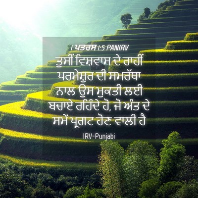 Picture 04 - 1 ਪਤਰਸ 1:5 PANIRV - ਤੁਸੀਂ ਵਿਸ਼ਵਾਸ ਦੇ - Bible Verse Picture