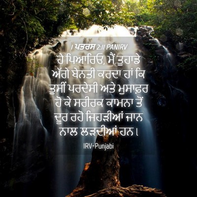 Picture 04 - 1 ਪਤਰਸ 2:11 PANIRV - ਹੇ ਪਿਆਰਿਓ, ਮੈਂ - Bible Verse Picture