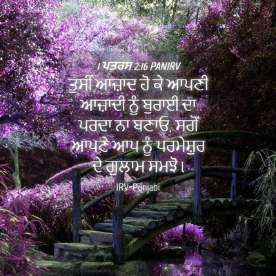 Picture 04 - 1 ਪਤਰਸ 2:16 PANIRV - ਤੁਸੀਂ ਆਜ਼ਾਦ ਹੋ ਕੇ - Bible Verse Picture