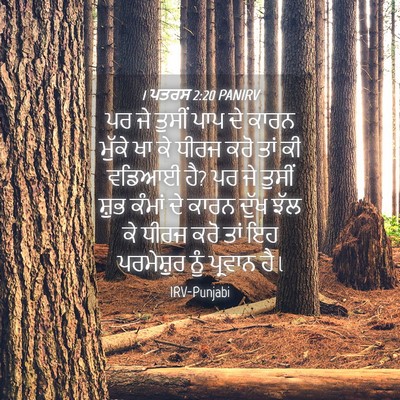 Picture 04 - 1 ਪਤਰਸ 2:20 PANIRV - ਪਰ ਜੇ ਤੁਸੀਂ ਪਾਪ ਦੇ - Bible Verse Picture