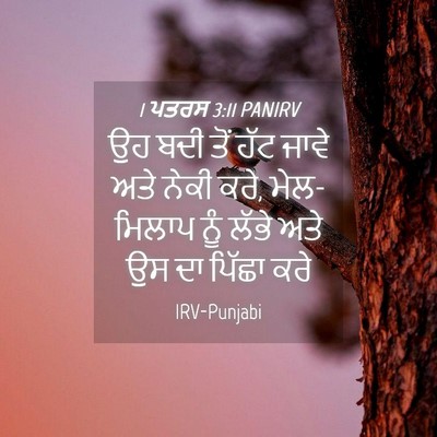Picture 04 - 1 ਪਤਰਸ 3:11 PANIRV - ਉਹ ਬਦੀ ਤੋਂ ਹੱਟ ਜਾਵੇ - Bible Verse Picture