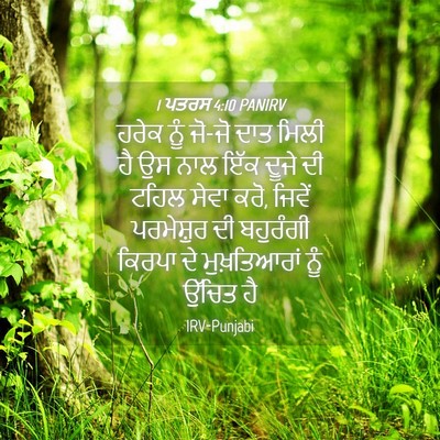 Picture 04 - 1 ਪਤਰਸ 4:10 PANIRV - ਹਰੇਕ ਨੂੰ ਜੋ-ਜੋ ਦਾਤ - Bible Verse Picture