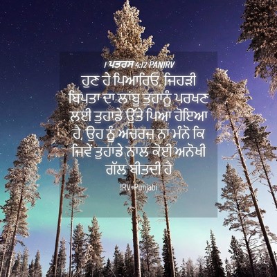 Picture 04 - 1 ਪਤਰਸ 4:12 PANIRV - ਹੁਣ ਹੇ ਪਿਆਰਿਓ, - Bible Verse Picture