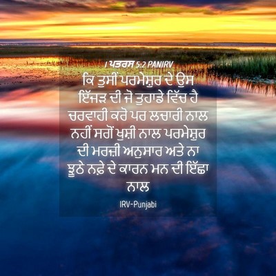 Picture 04 - 1 ਪਤਰਸ 5:2 PANIRV - ਕਿ ਤੁਸੀਂ ਪਰਮੇਸ਼ੁਰ - Bible Verse Picture