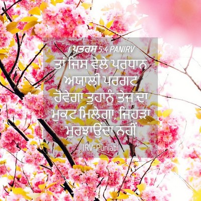 Picture 04 - 1 ਪਤਰਸ 5:4 PANIRV - ਤਾਂ ਜਿਸ ਵੇਲੇ ਪਰਧਾਨ - Bible Verse Picture