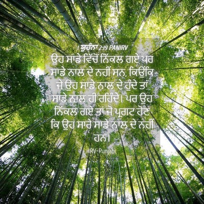 Picture 04 - 1 ਯੂਹੰਨਾ 2:19 PANIRV - ਉਹ ਸਾਡੇ ਵਿੱਚੋਂ - Bible Verse Picture