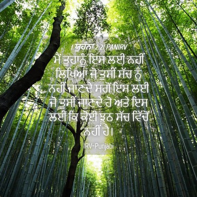 Picture 04 - 1 ਯੂਹੰਨਾ 2:21 PANIRV - ਮੈਂ ਤੁਹਾਨੂੰ ਇਸ ਲਈ - Bible Verse Picture