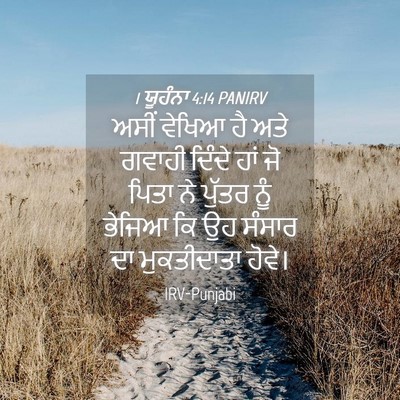 Picture 04 - 1 ਯੂਹੰਨਾ 4:14 PANIRV - ਅਸੀਂ ਵੇਖਿਆ ਹੈ ਅਤੇ - Bible Verse Picture