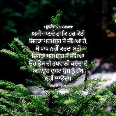 Picture 04 - 1 ਯੂਹੰਨਾ 5:18 PANIRV - ਅਸੀਂ ਜਾਣਦੇ ਹਾਂ ਕਿ - Bible Verse Picture