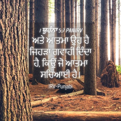 Picture 04 - 1 ਯੂਹੰਨਾ 5:7 PANIRV - ਅਤੇ ਆਤਮਾ ਉਹ ਹੈ - Bible Verse Picture