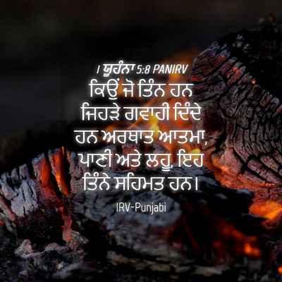 Picture 04 - 1 ਯੂਹੰਨਾ 5:8 PANIRV - ਕਿਉਂ ਜੋ ਤਿੰਨ ਹਨ - Bible Verse Picture