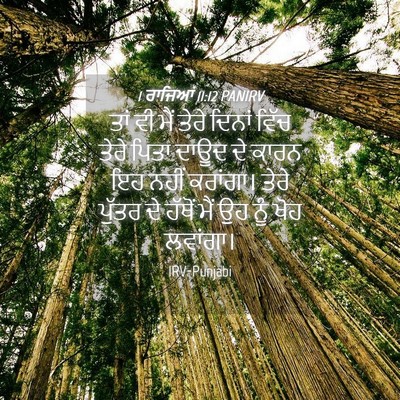 Picture 04 - 1 ਰਾਜਿਆਂ 11:12 PANIRV - ਤਾਂ ਵੀ ਮੈਂ ਤੇਰੇ - Bible Verse Picture