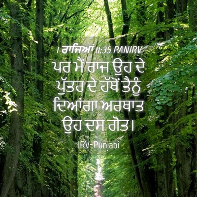 Picture 04 - 1 ਰਾਜਿਆਂ 11:35 PANIRV - ਪਰ ਮੈਂ ਰਾਜ ਉਹ ਦੇ - Bible Verse Picture