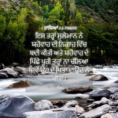 Picture 04 - 1 ਰਾਜਿਆਂ 11:6 PANIRV - ਇਸ ਤਰ੍ਹਾਂ ਸੁਲੇਮਾਨ - Bible Verse Picture