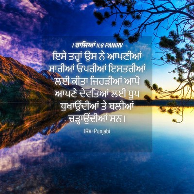 Picture 04 - 1 ਰਾਜਿਆਂ 11:8 PANIRV - ਇਸੇ ਤਰ੍ਹਾਂ ਉਸ ਨੇ - Bible Verse Picture
