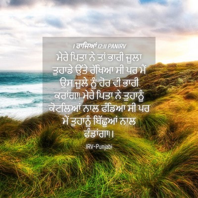 Picture 04 - 1 ਰਾਜਿਆਂ 12:11 PANIRV - ਮੇਰੇ ਪਿਤਾ ਨੇ ਤਾਂ - Bible Verse Picture