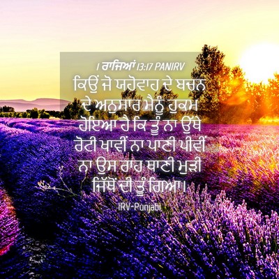 Picture 04 - 1 ਰਾਜਿਆਂ 13:17 PANIRV - ਕਿਉਂ ਜੋ ਯਹੋਵਾਹ ਦੇ - Bible Verse Picture