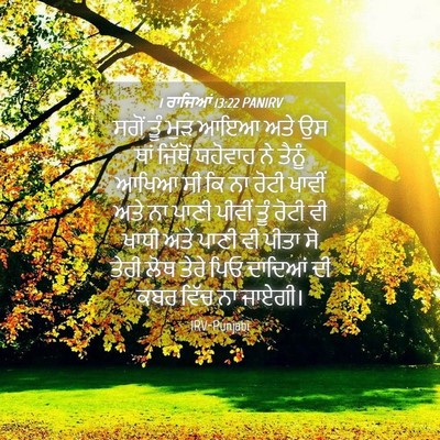 Picture 04 - 1 ਰਾਜਿਆਂ 13:22 PANIRV - ਸਗੋਂ ਤੂੰ ਮੁੜ ਆਇਆ - Bible Verse Picture