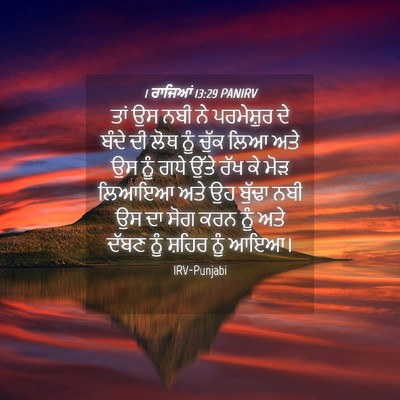 Picture 04 - 1 ਰਾਜਿਆਂ 13:29 PANIRV - ਤਾਂ ਉਸ ਨਬੀ ਨੇ - Bible Verse Picture